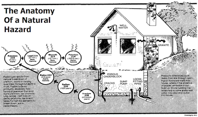 A diagram of radon's behavior
